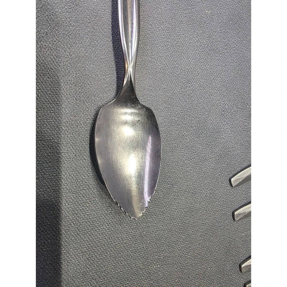Wm Rogers Mfg Co Grapefruit Spoons Stainless USA Serrated Tip Set of 5 Vintage